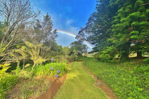 Old Historic Makawao garden