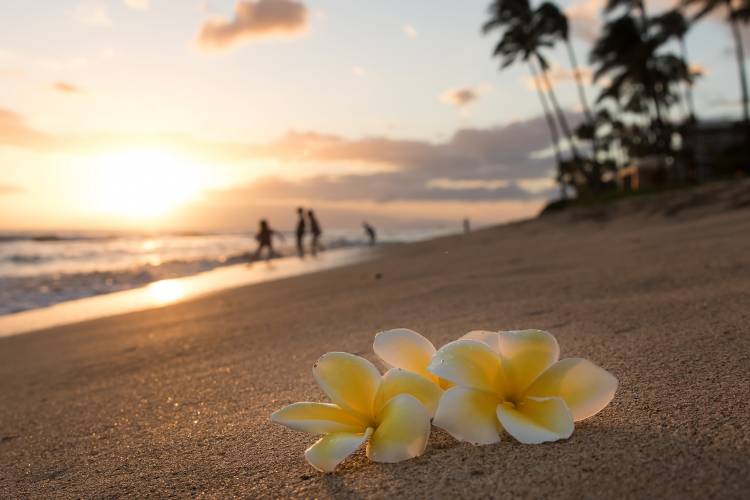 Maui Beach Fall