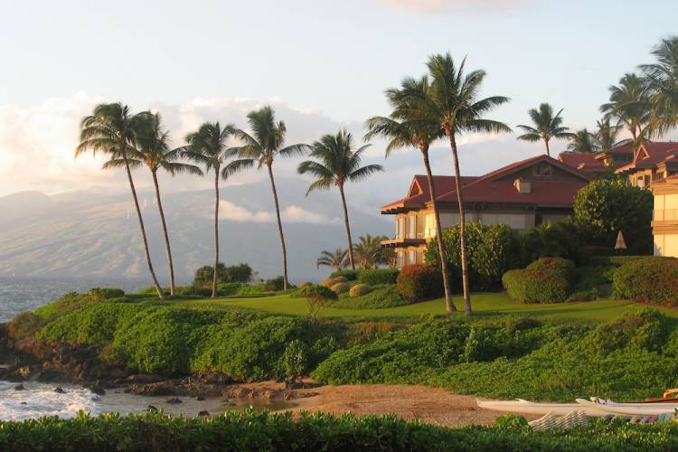 Palm trees line the coast of a Hawaiian vacation resort by a beach on the island Maui.