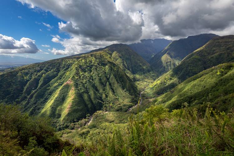 The view of the West Maui Mountains from the Waihe'e Ridge Trail 