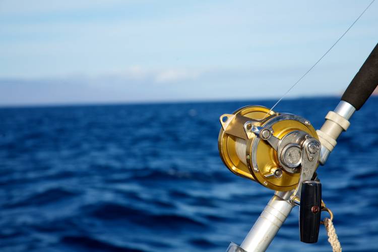 Closeup shot of a fishing rod with ocean view in background