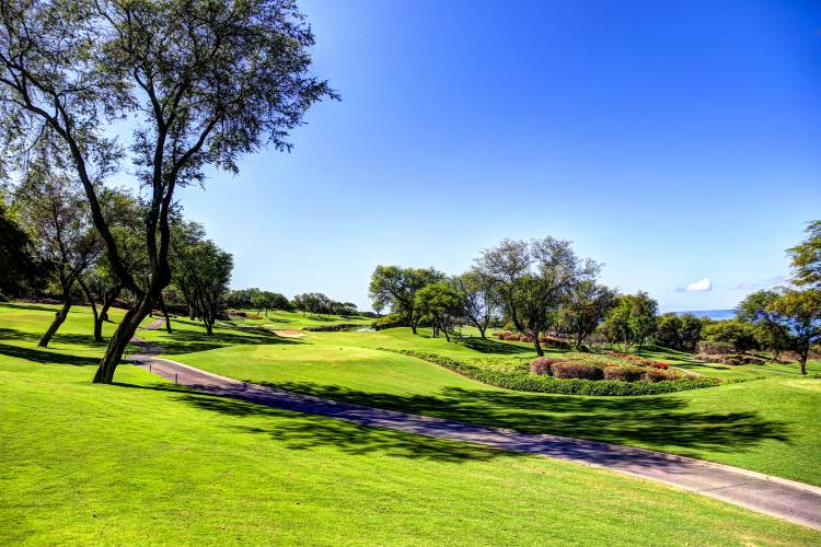 Fairway at Wailea Golf Club