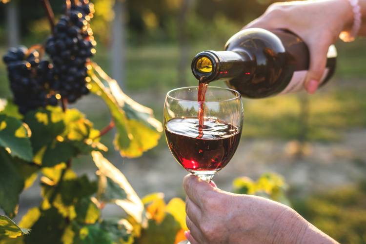 Kapalua Wine Festival
