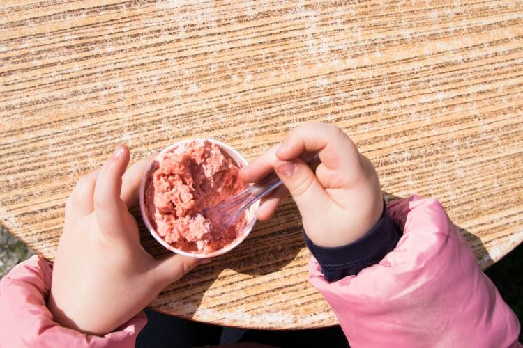 aerial view of kid eating strawberry sherbet