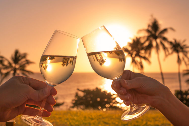 people toasting with wine glasses