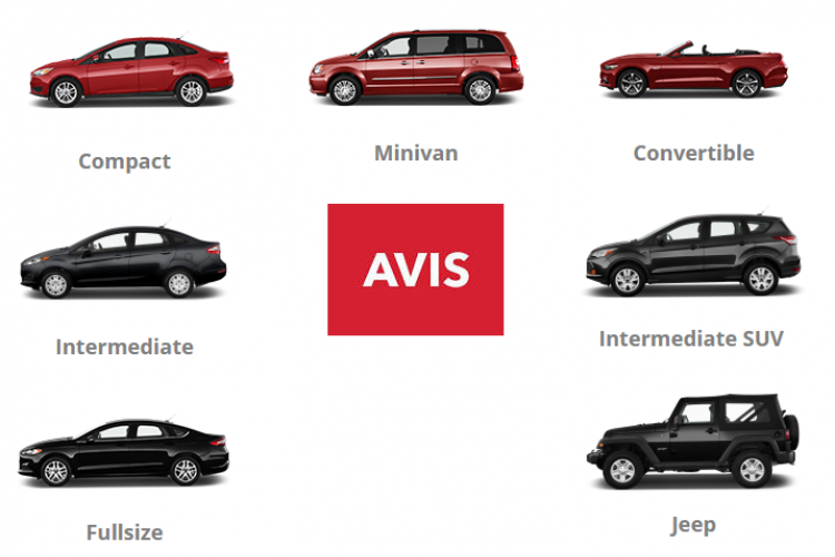 Avis Car Rental