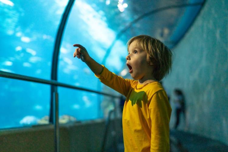 kid at aquarium 