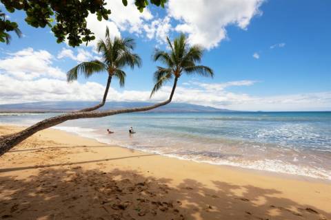 Maui Beach