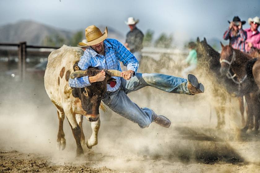 man tackling a bull in a rodeo