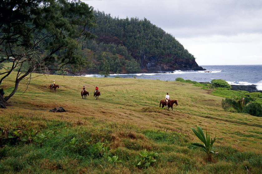 Maui horseback riding