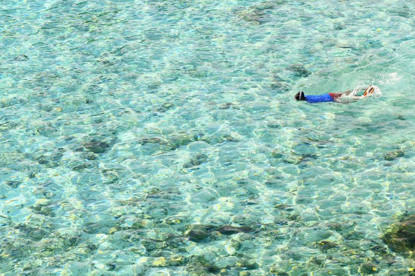 snorkeling in maui