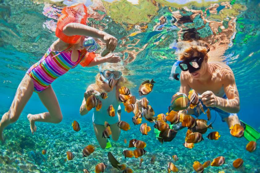family snorkeling surrounded by fish